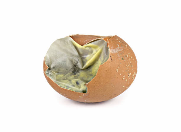 تفسير حلم البيض الفاسد