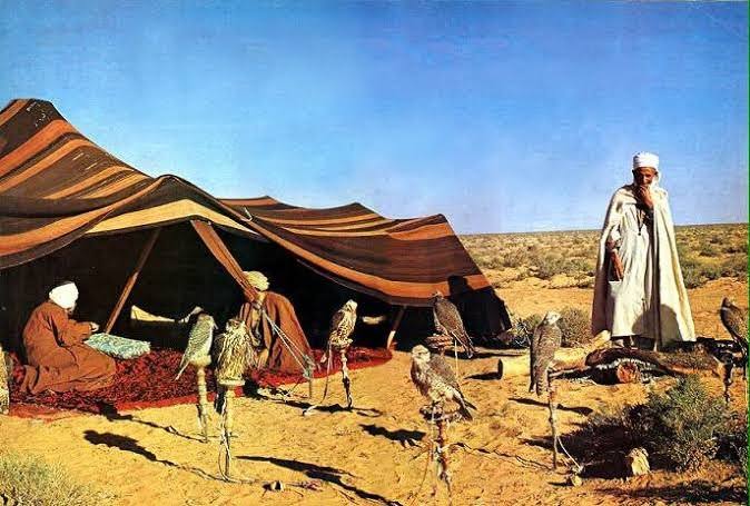 تفسير حلم اسم القبيلة
