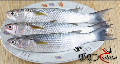 تفسير حلم رؤية أكل السمك في المنام