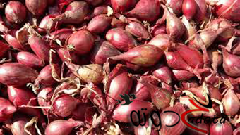 تفسير رؤية البصل المشوي في المنام