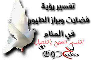 تفسير حلم براز الطيور في المنام لابن سيرين