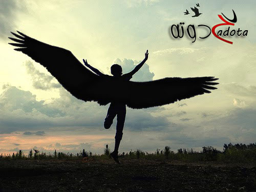 تفسير حلم رؤية الطيران في المنام لابن سيرين