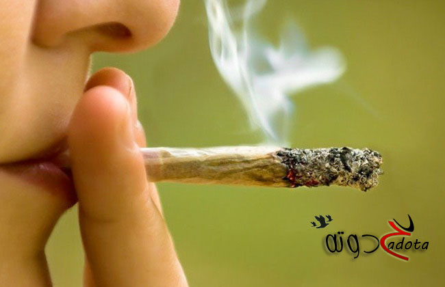 ما هو تفسير رؤية الحشيش المخدر في المنام