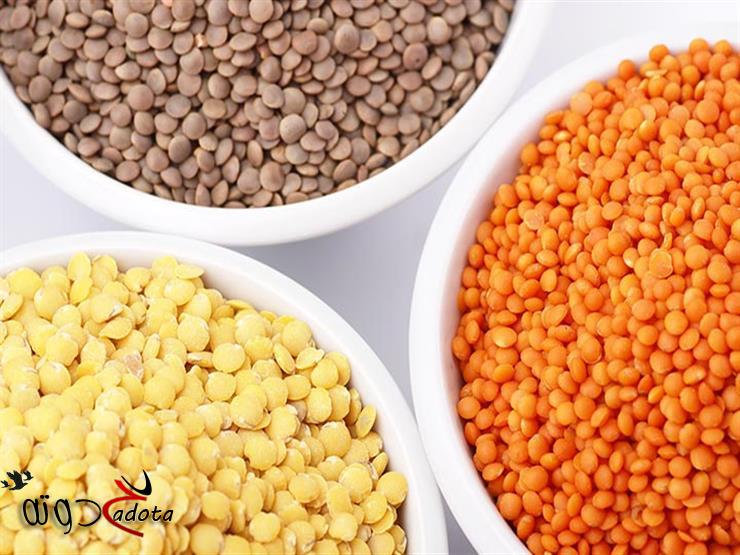 تفسير حلم رؤية العدس في المنام