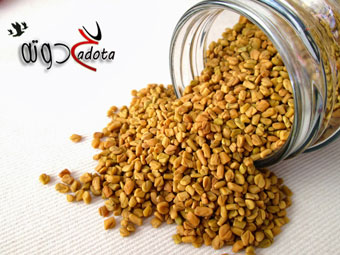 تفسير رؤية الحلبة فى المنام