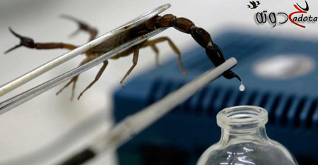 تفسير رؤية شرب السم في المنام