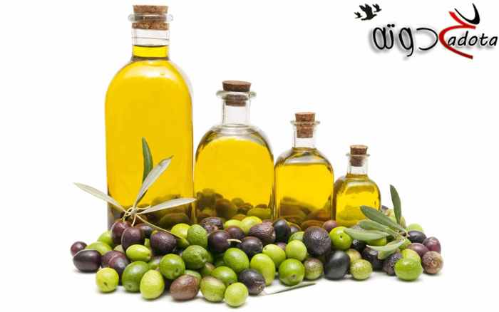 تفسير رؤية شجرة الزيتون في المنام