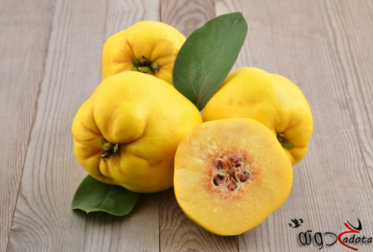 تفسير رؤية السفرجل في المنام