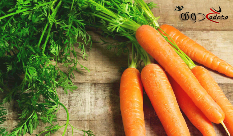 ما تفسير رؤية الجزر في المنام