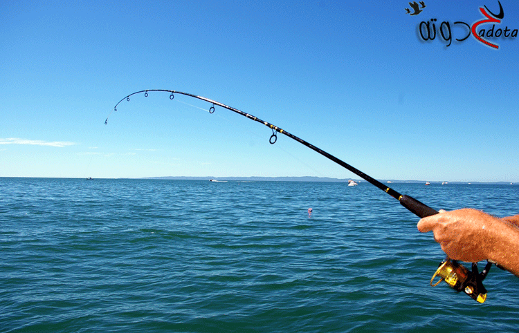 تفسير حلم رؤية السنارة في المنام