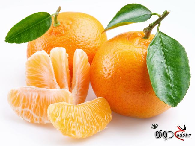 تفسير رؤية اليوسفي في المنام