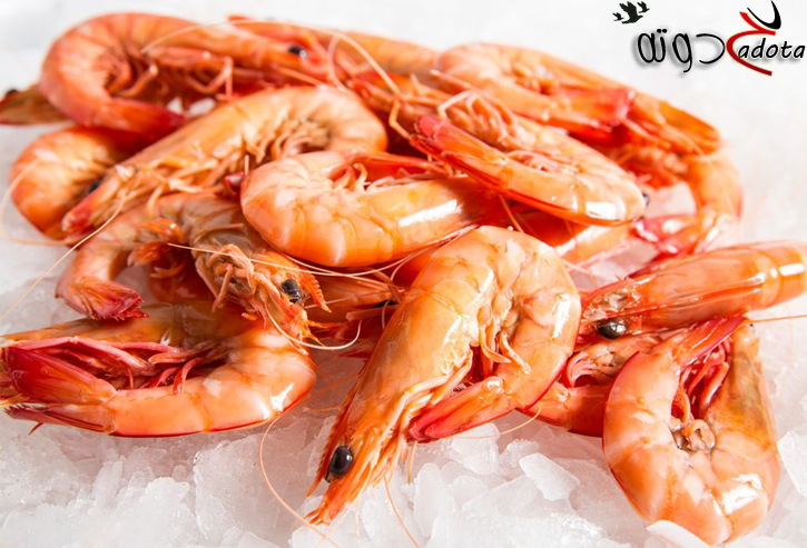 تفسير حلم رؤية الجمبري في المنام