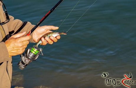 ما تفسير رؤية صيد السمك في المنام