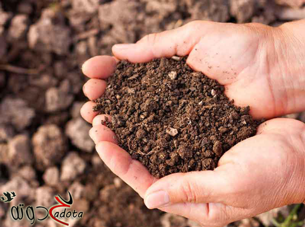 الى ماذا يرمز التراب في المنام؟