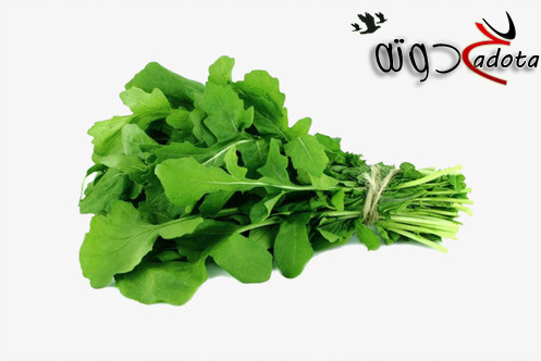 تفسير حلم رؤية الجرجير في المنام