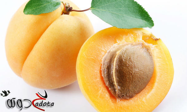 تفسير حلم رؤية المشمش في المنام