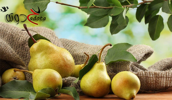 ما تفسير حلم فاكهة الاجاص في المنام