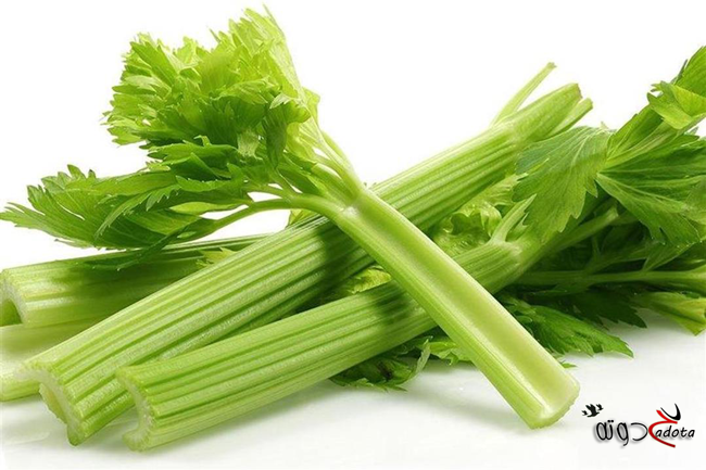 ما تفسير رؤية الكرفس في المنام