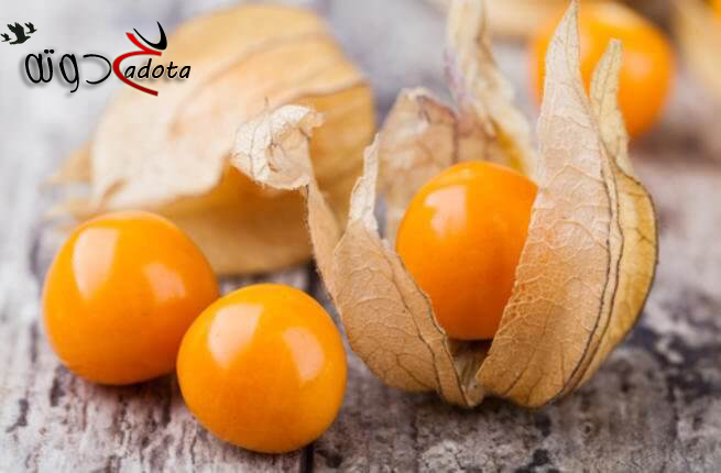 تفسير حلم الحرنكش في المنام