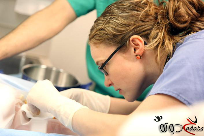 تفسير رؤية حلم الختان في المنام