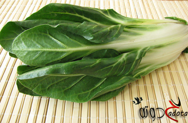 تفسير رؤية السلق الأخضر في المنام