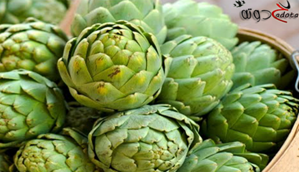 ما هو تفسير رؤية الخرشوف في المنام