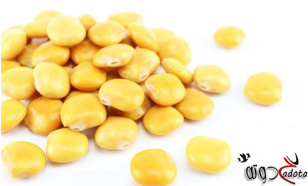 ما هو تفسير حلم أكل الترمس في المنام