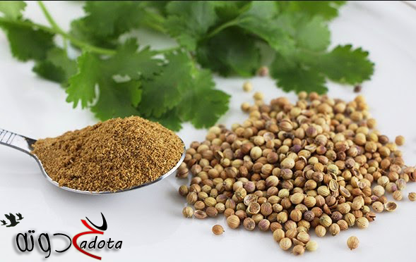 ما هو تفسير رؤية الكزبرة الخضراء في المنام