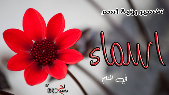 تفسير حلم رؤية اسم اسماء في المنام