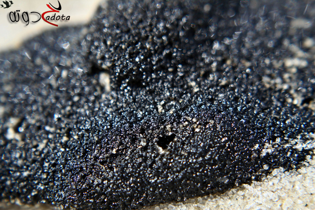 ما هو تفسير رؤية القطران في المنام