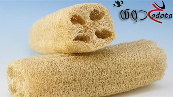 تفسير رؤية حلم الليف في المنام