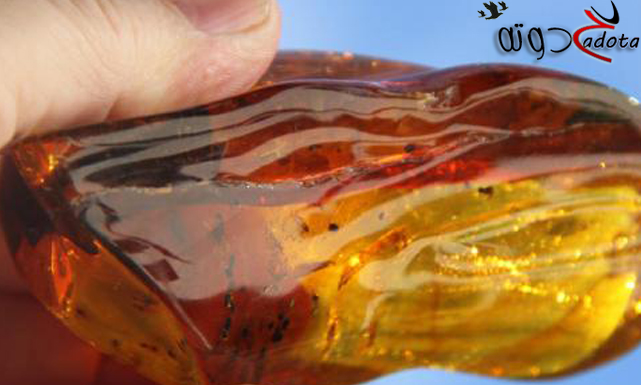 تفسير حلم رؤية العنبر في المنام