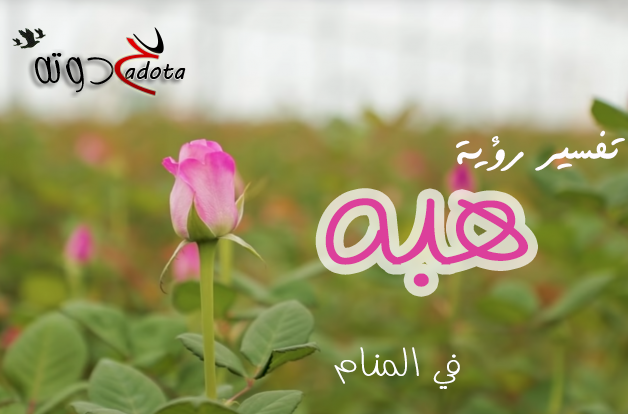 تفسير حلم رؤية اسم هبة في المنام