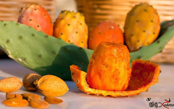 تفسير رؤية حلم التين الشوكي في المنام