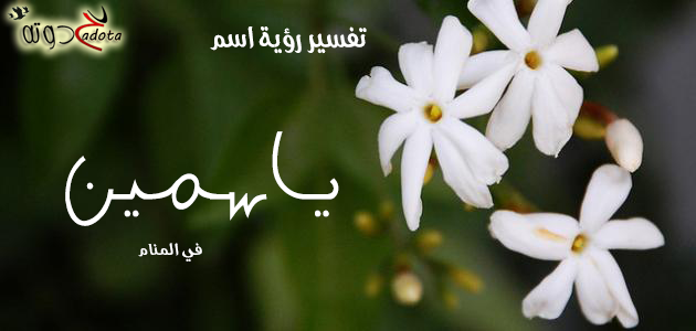تفسير حلم رؤية اسم ياسمين في المنام