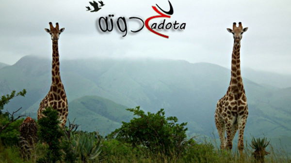 تفسير حلم رؤية الزرافة في المنام للامام الصادق