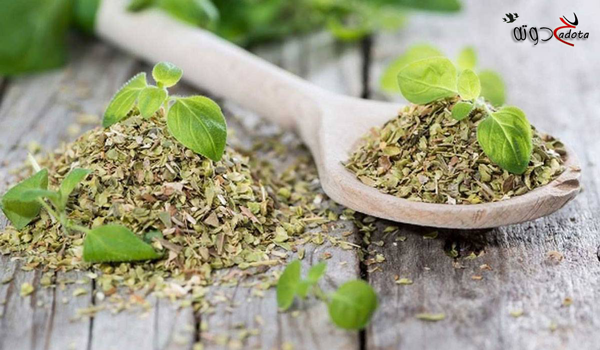 تفسير حلم رؤية البردقوش في المنام