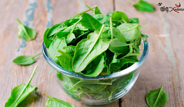 تفسير حلم رؤية السبانخ في المنام