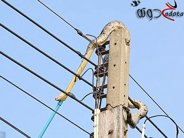 تفسير حلم رؤية عمود الكهرباء في المنام