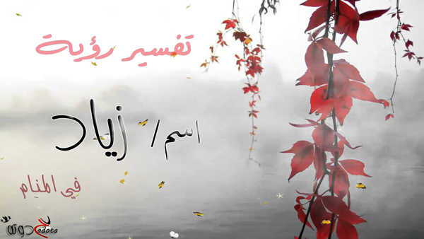 تفسير حلم رؤية اسم زياد في المنام