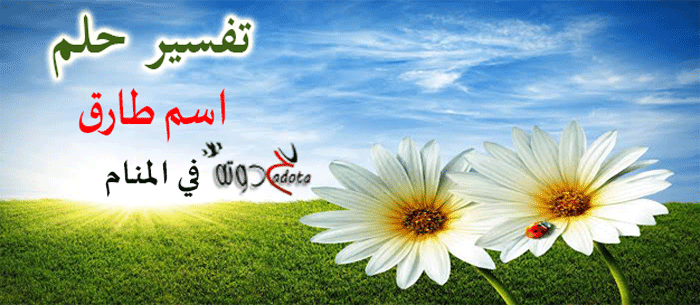 تفسير حلم رؤية اسم طارق في المنام