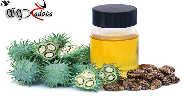 ما تفسير حلم الخروع في المنام