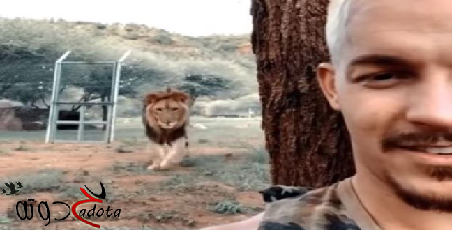 تفسير حلم رؤية هجوم الاسد في المنام