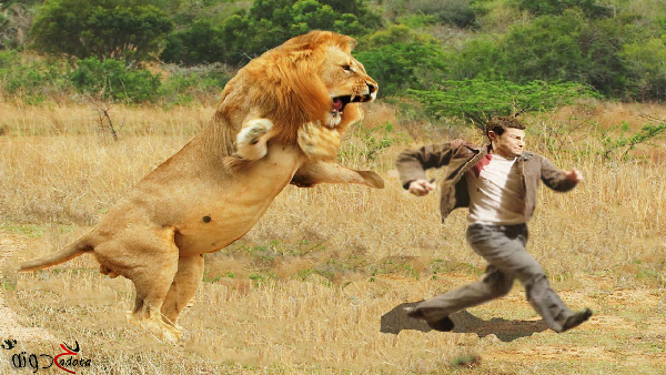 تفسير حلم رؤية الهروب من الأسد في المنام