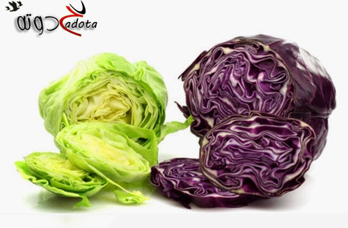 تفسير حلم رؤية سلق الكرنب في المنام