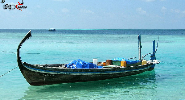 تفسير حلم رؤية ركوب المركب في المنام