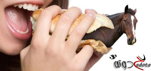 تفسير حلم رؤية أكل لحم الحصان في المنام