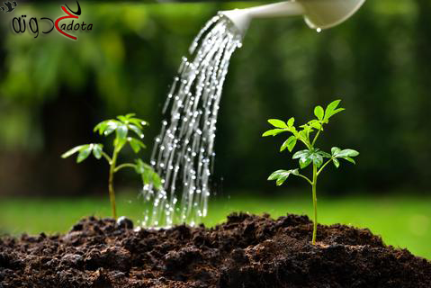 تفسير رؤية سقي الأرض في المنام