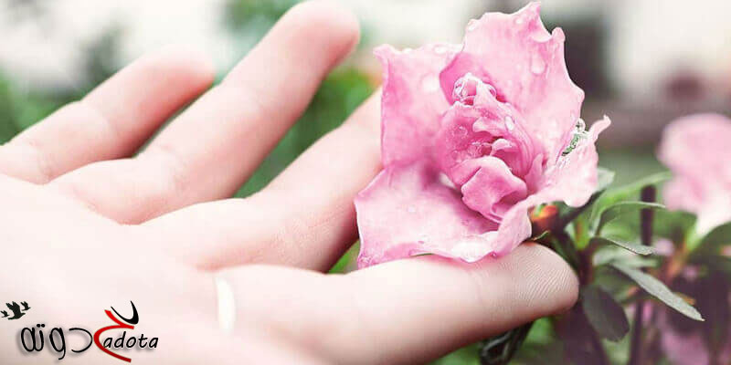 تفسير رؤية نزول الورد من السماء في المنام