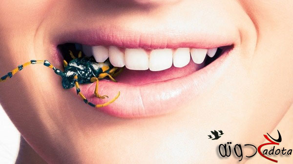 ما هو تفسير حلم خروج الحشرات من الفم في المنام